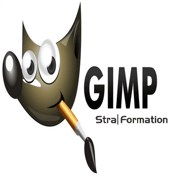 Formation gestion finance trésorerie logiciel gimp en Alsace