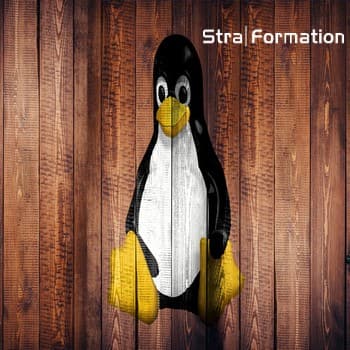 Formation informatique web marketing Windows en Alsace