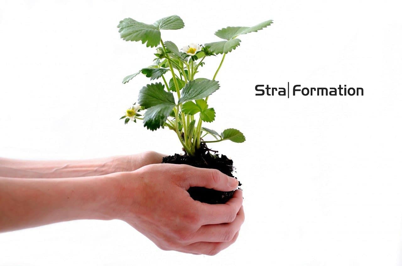 Cultiver une démarche RSE dans sa politique RH