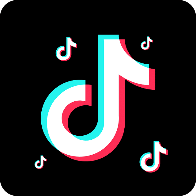 ormation Réussir sur TikTok | Dominez la Plateforme avec notre Programme de Formation