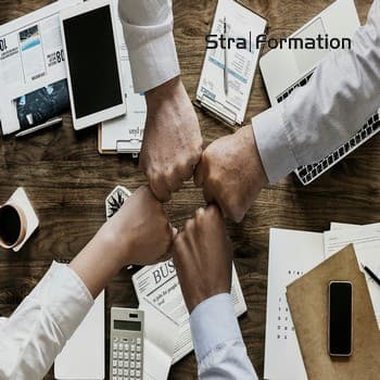 Formation – Manager Commercial, animer la force de vente (visio / présentiel) – Présentation Formation commercial vente manager commercial animer la force de vente en Alsace